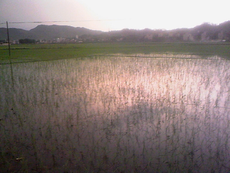 100804A026.jpg