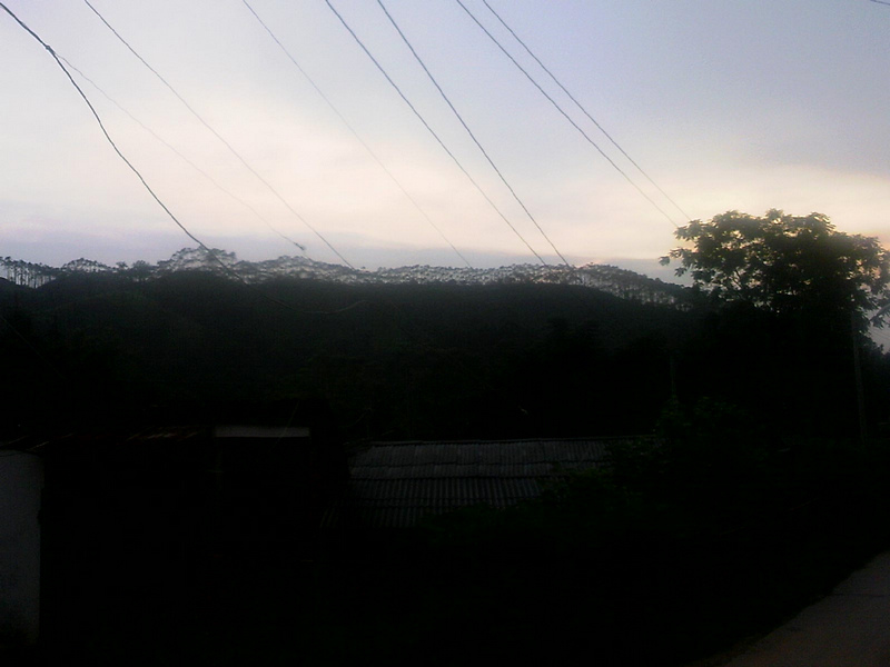 100804A013.jpg