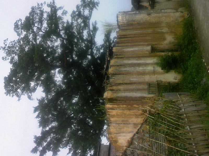 100805A020.jpg