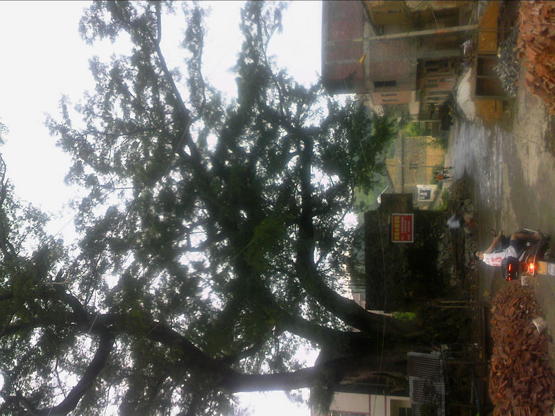 100805A025.jpg