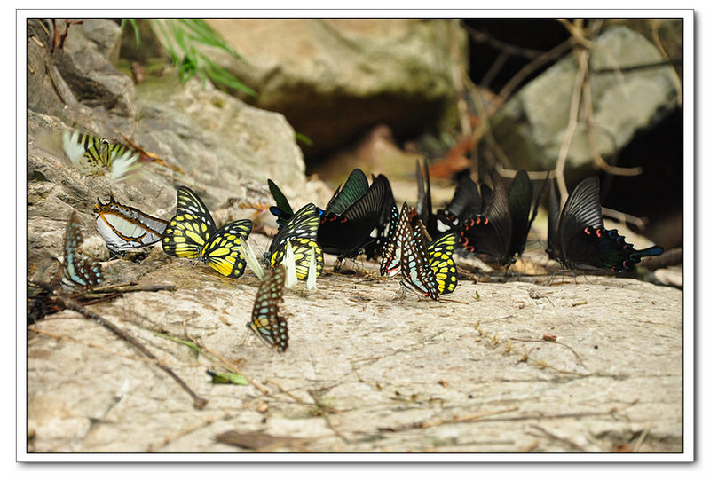 DSC_0064_nEO_IMG.jpg