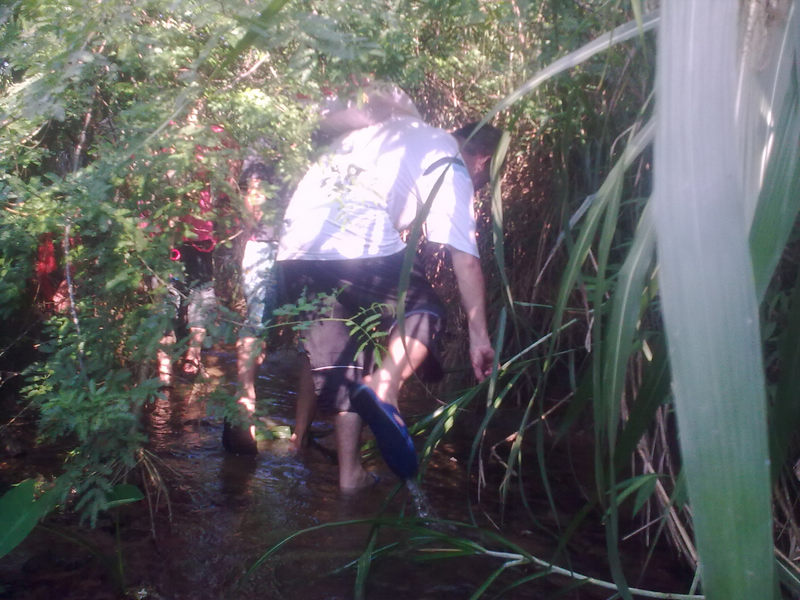 20100817_002.jpg