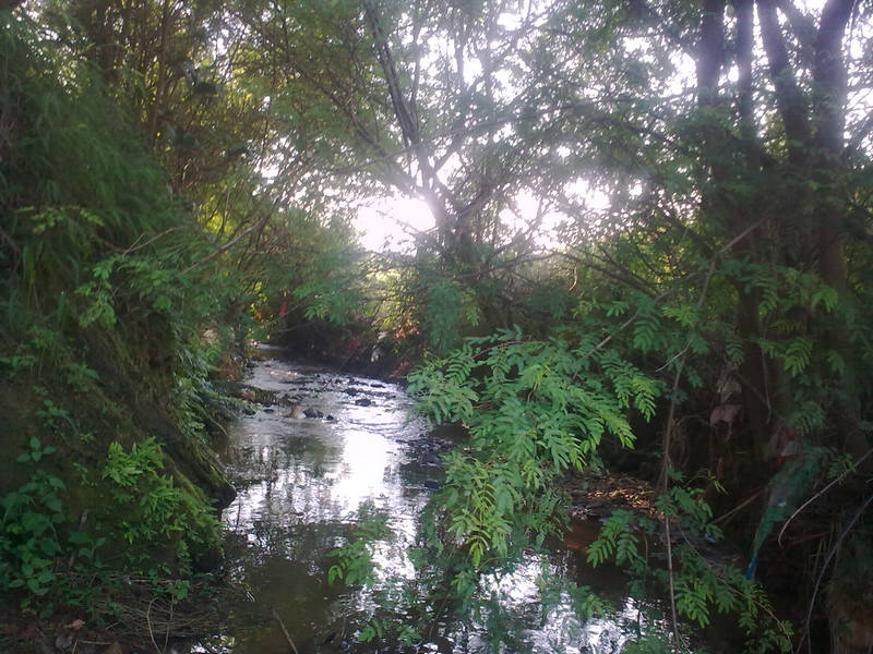 20100817_011.jpg