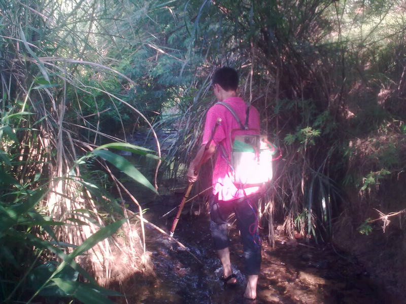 20100817_003.jpg