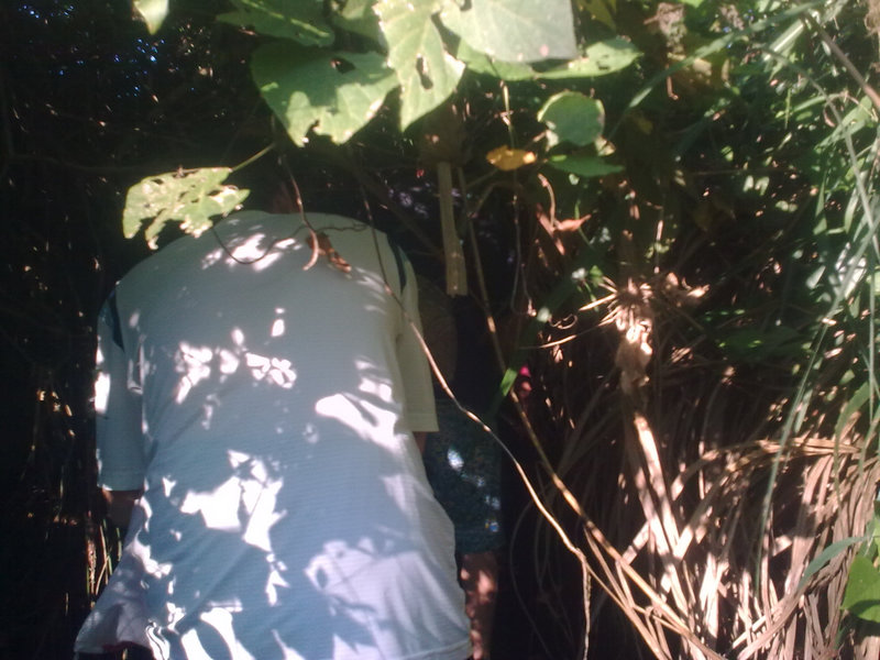 20100817_012.jpg