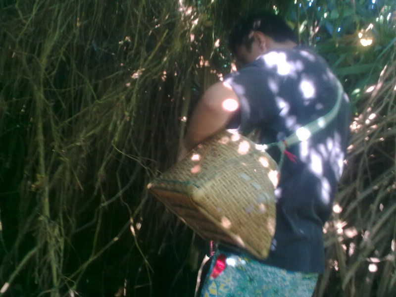 20100817_013.jpg