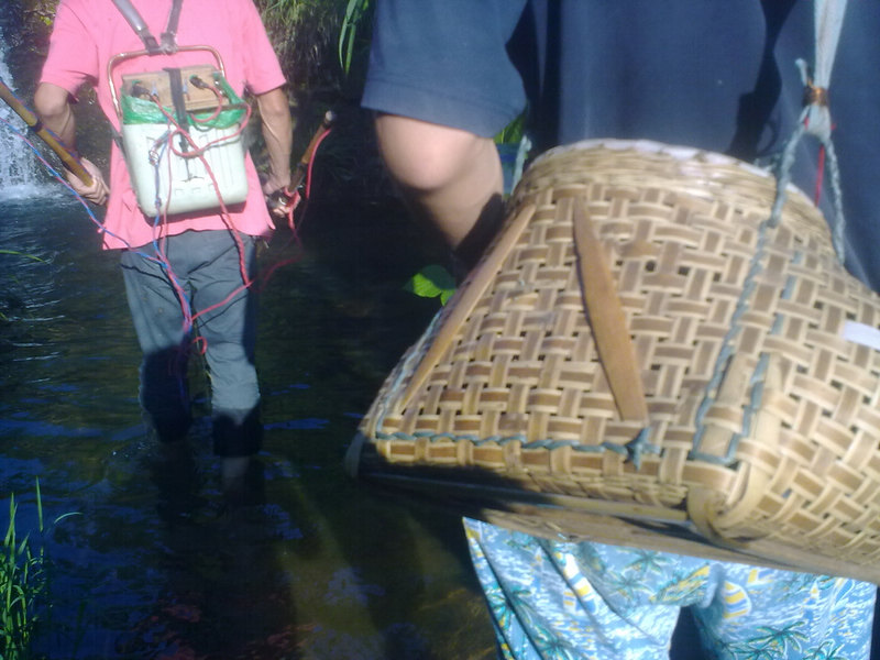 20100817_019.jpg