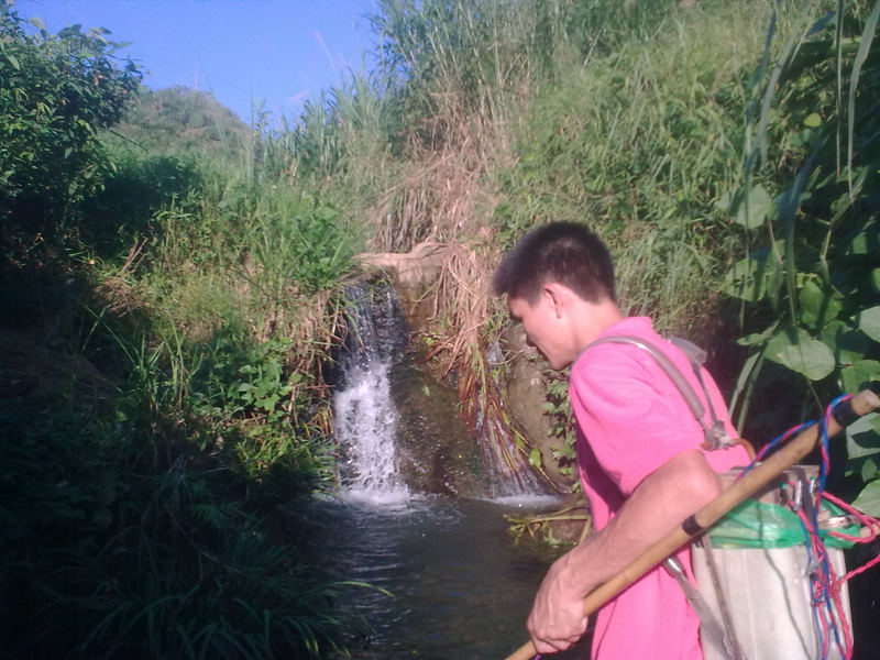 20100817_018.jpg