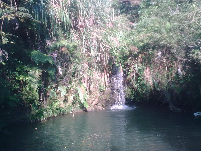20100817_024.jpg
