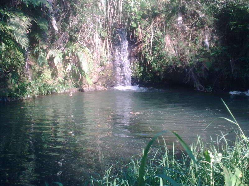 20100817_025.jpg