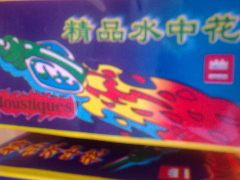 20100817_027.jpg