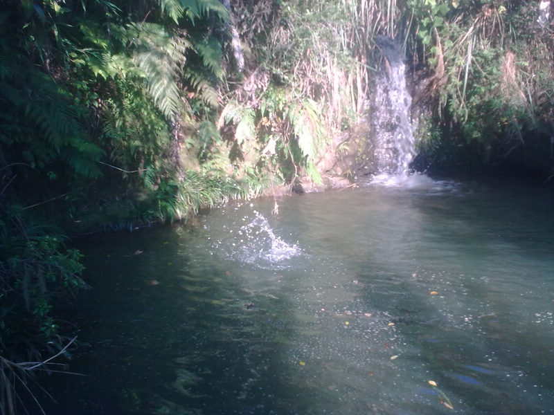 20100817_033.jpg