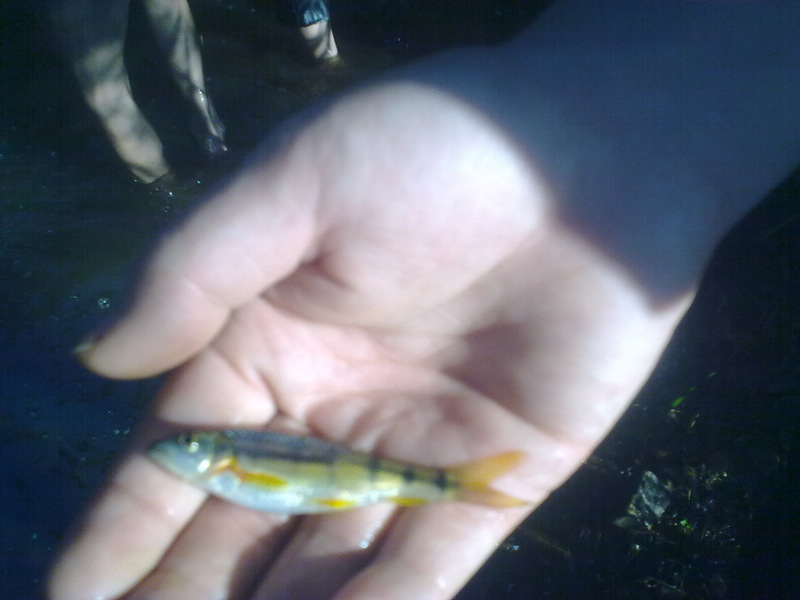20100817_034.jpg