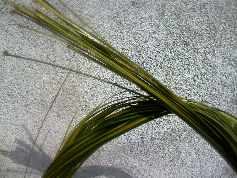 100818A022.jpg