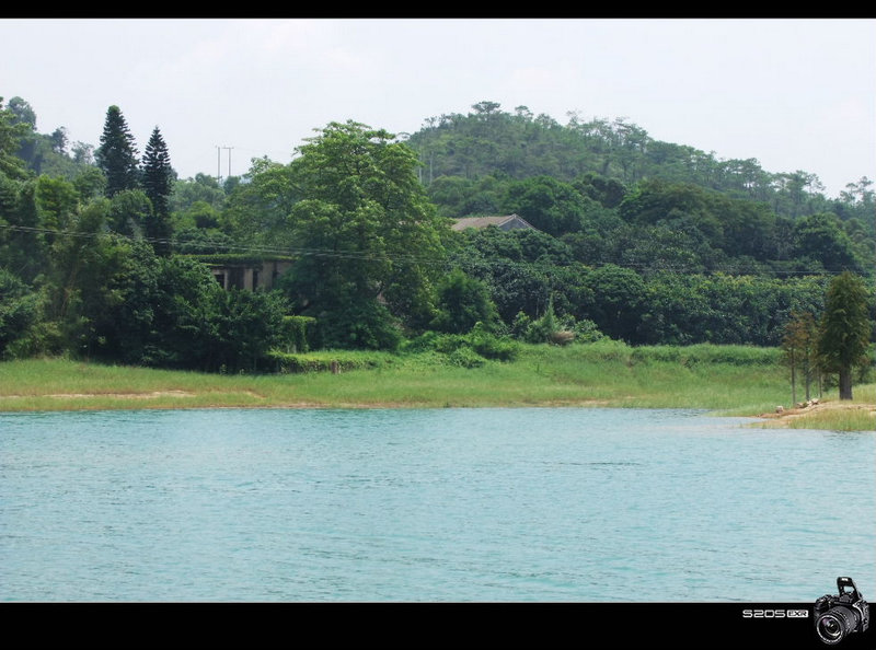 31羰 (10).JPG