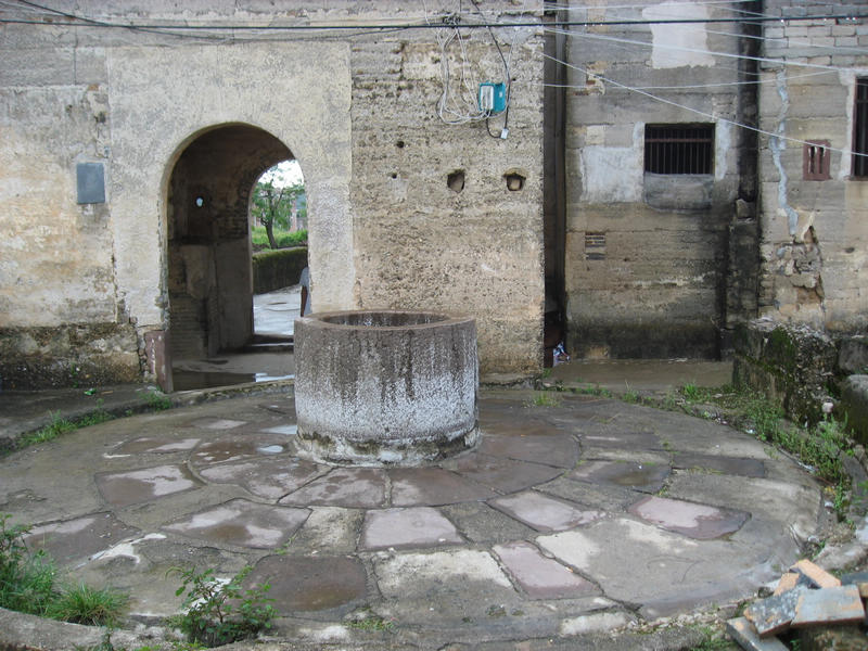 IMG_4251.jpg