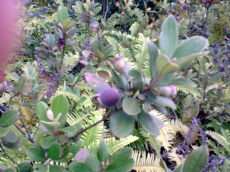 20090913_011.jpg