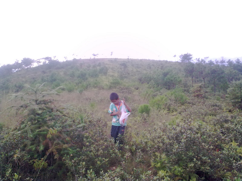 20090913_032.jpg