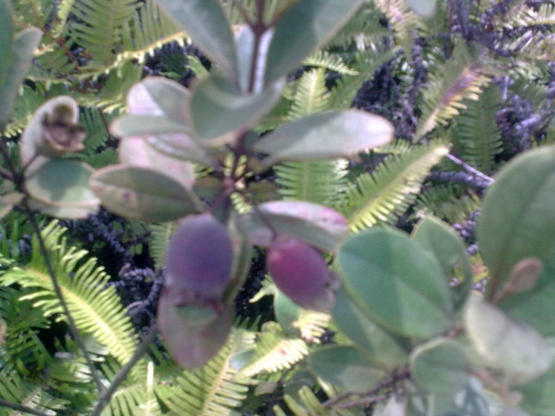 20090913_025.jpg