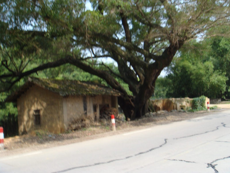 DSC00644 [ֱ].JPG