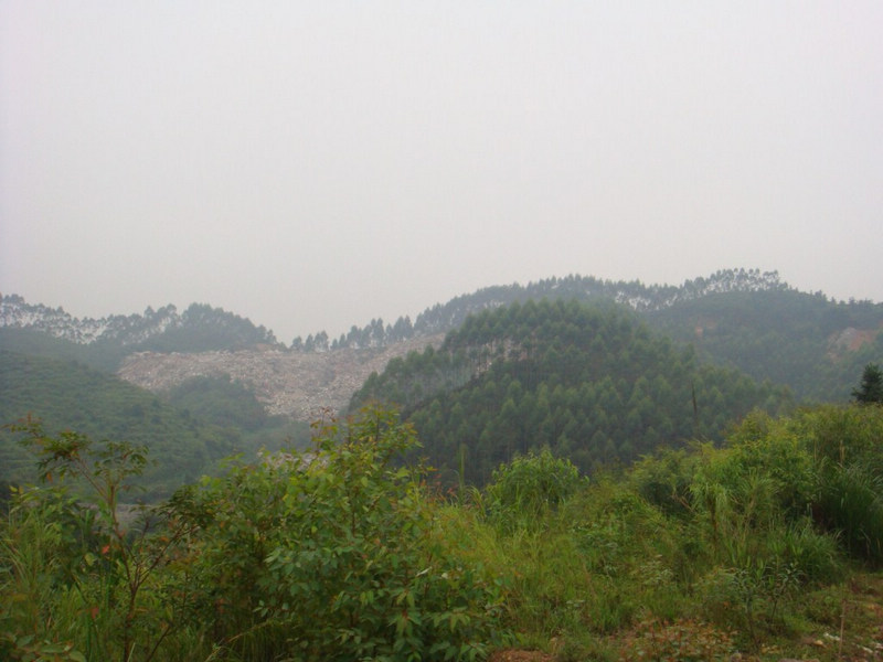 DSC00667 [ֱ].JPG