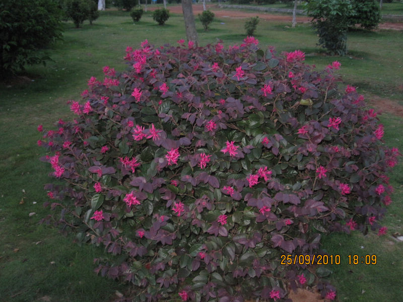 IMG_3082.JPG