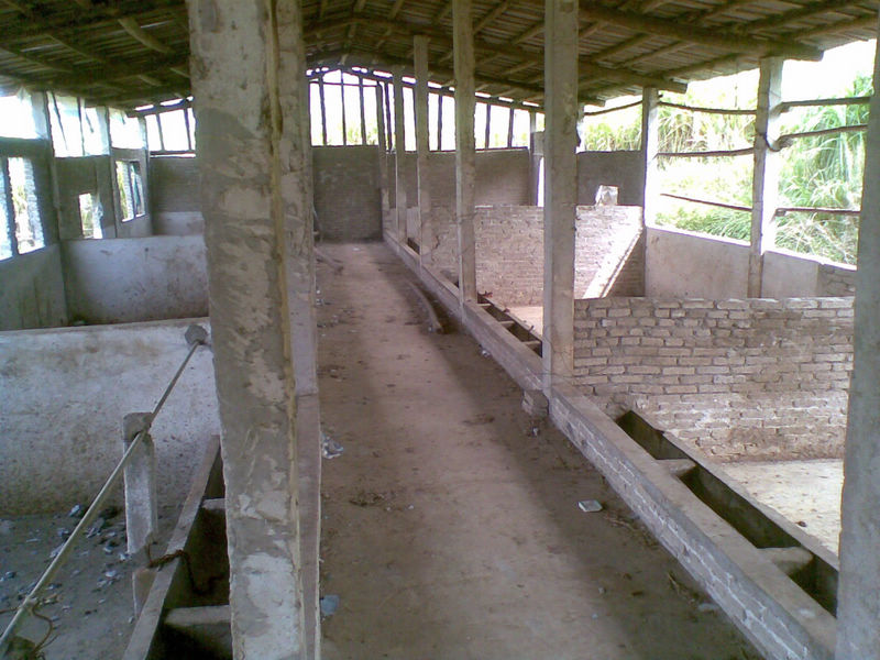 20100926(001).jpg