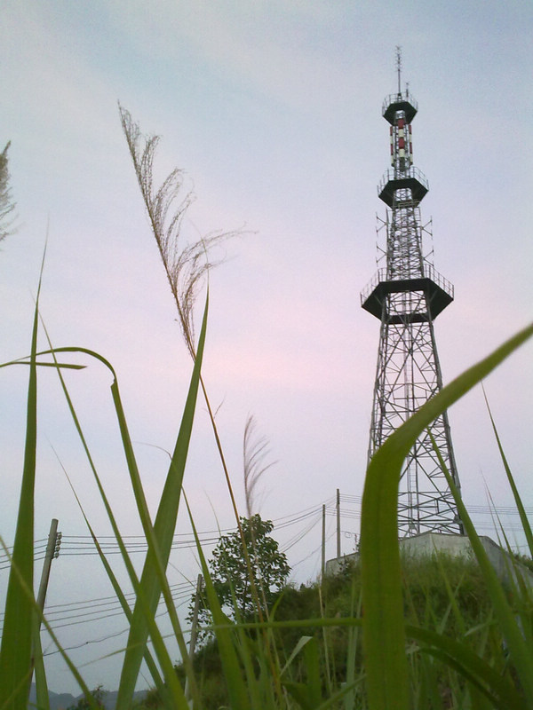 20100828067.jpg