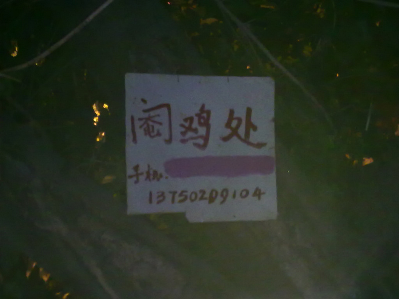 20100918075.jpg