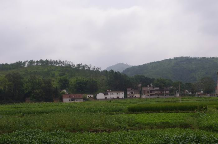 IMGP6506.JPG