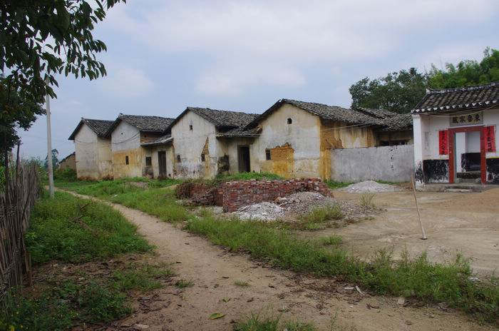 IMGP6514.JPG
