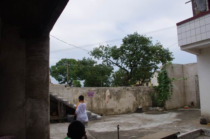 IMGP6515.JPG