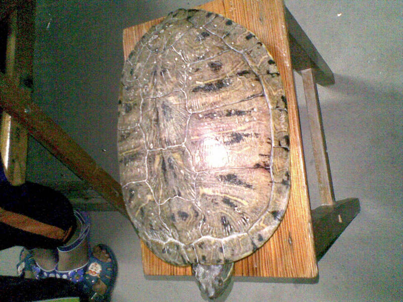 20101008.jpg