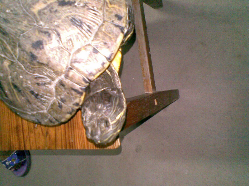 20101008(004).jpg