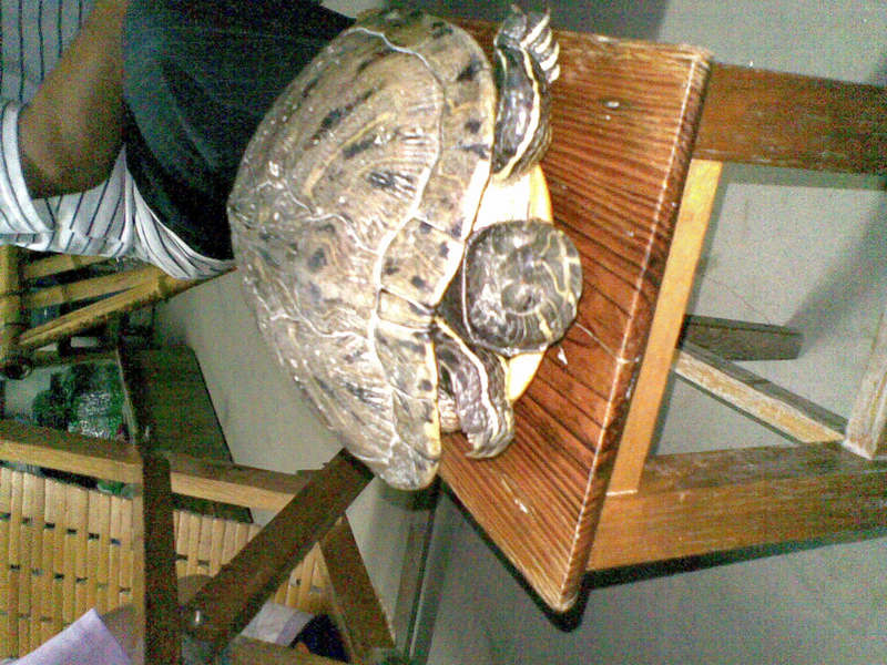 20101008(001).jpg