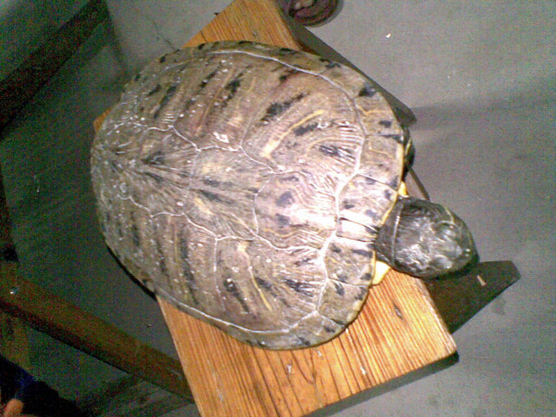 20101008(003).jpg