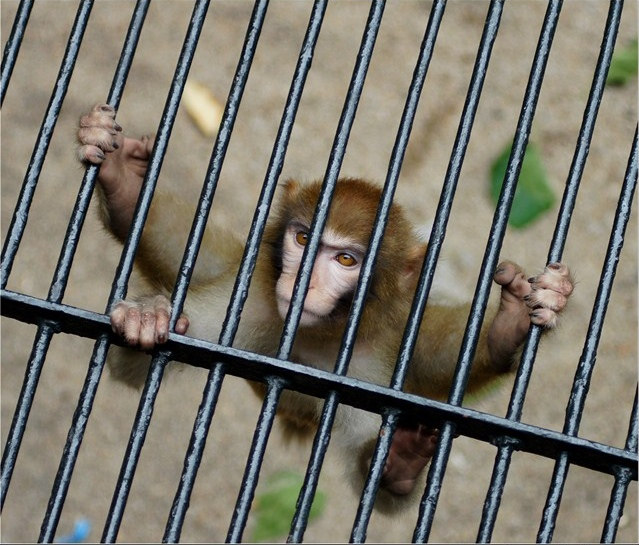 56.jpg