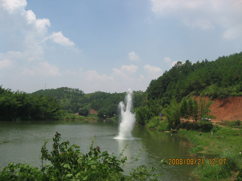 IMG_7040.jpg