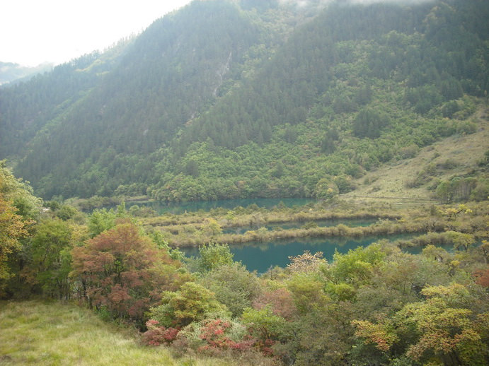 DSCF7700.jpg