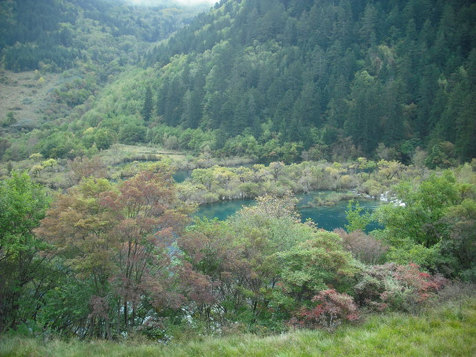 DSCF7697.jpg