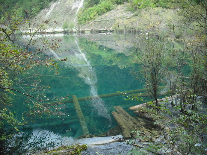 DSCF7715.jpg