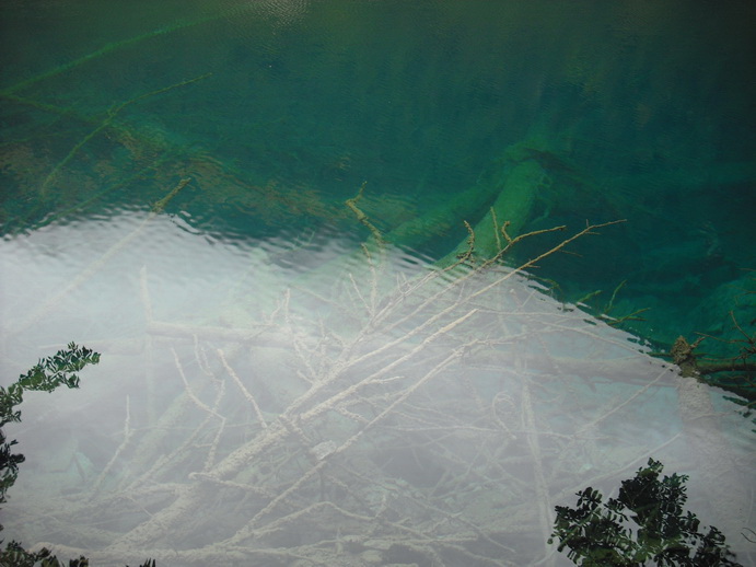 DSCF7724.JPG