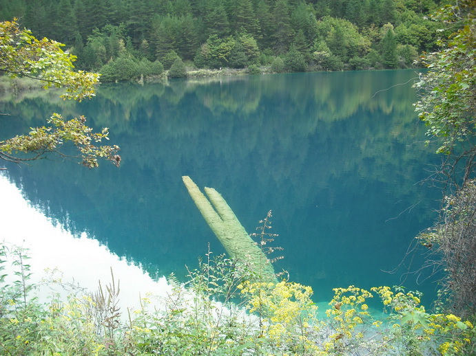 DSCF7735.JPG