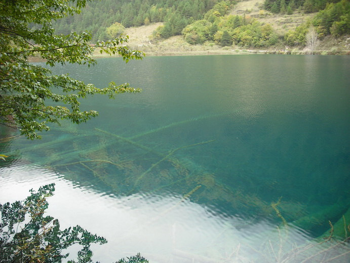 DSCF7725.JPG
