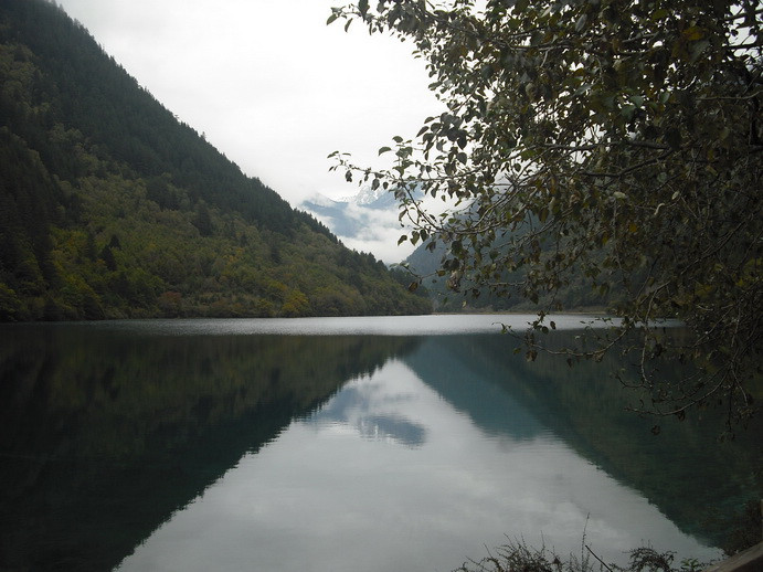 DSCF7731.JPG