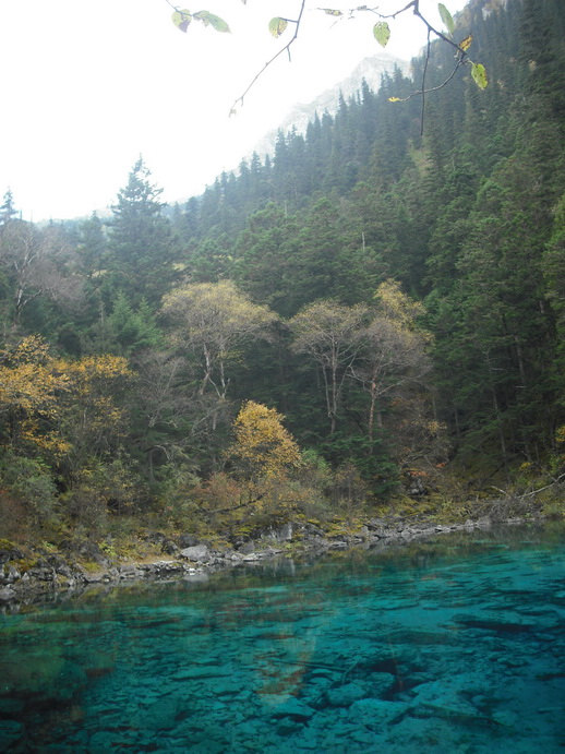 DSCF7751.JPG