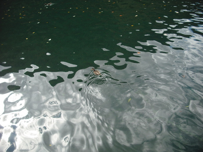 DSCF7758.JPG