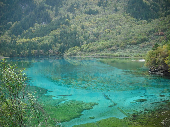 DSCF7773.JPG