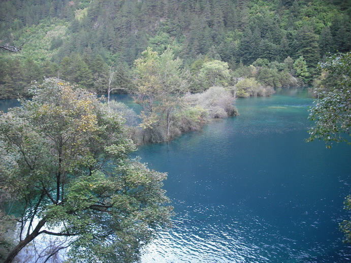 DSCF7787.JPG