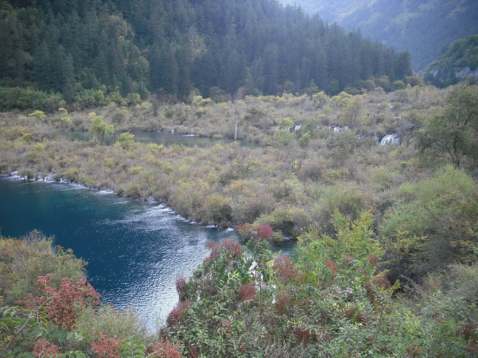 DSCF7788.JPG